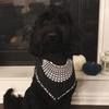 lisahoops10